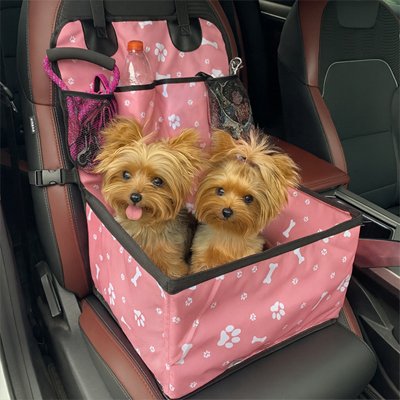 Siege auto chien