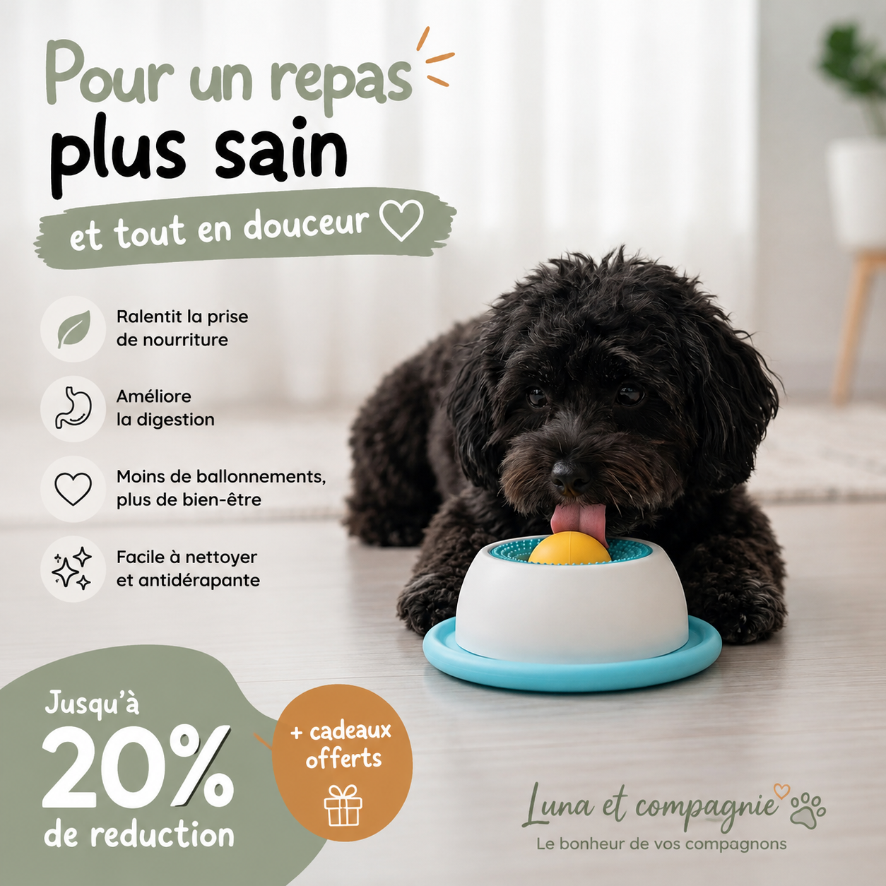 Gamelle anti glouton Chien | Digestion optimale