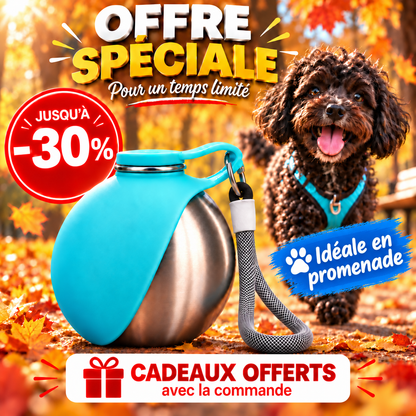 Gourde pour Chien | Pratique et Étanche