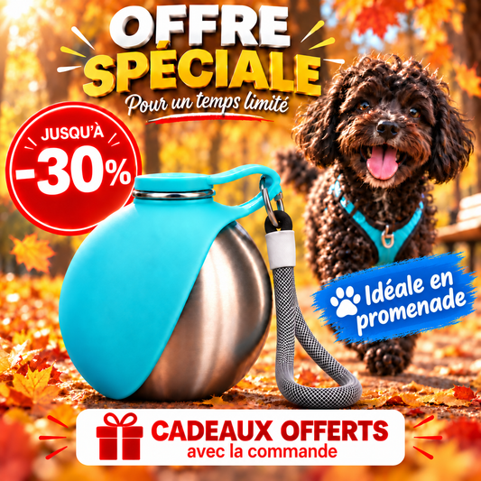 Gourde pour Chien | Pratique et Étanche