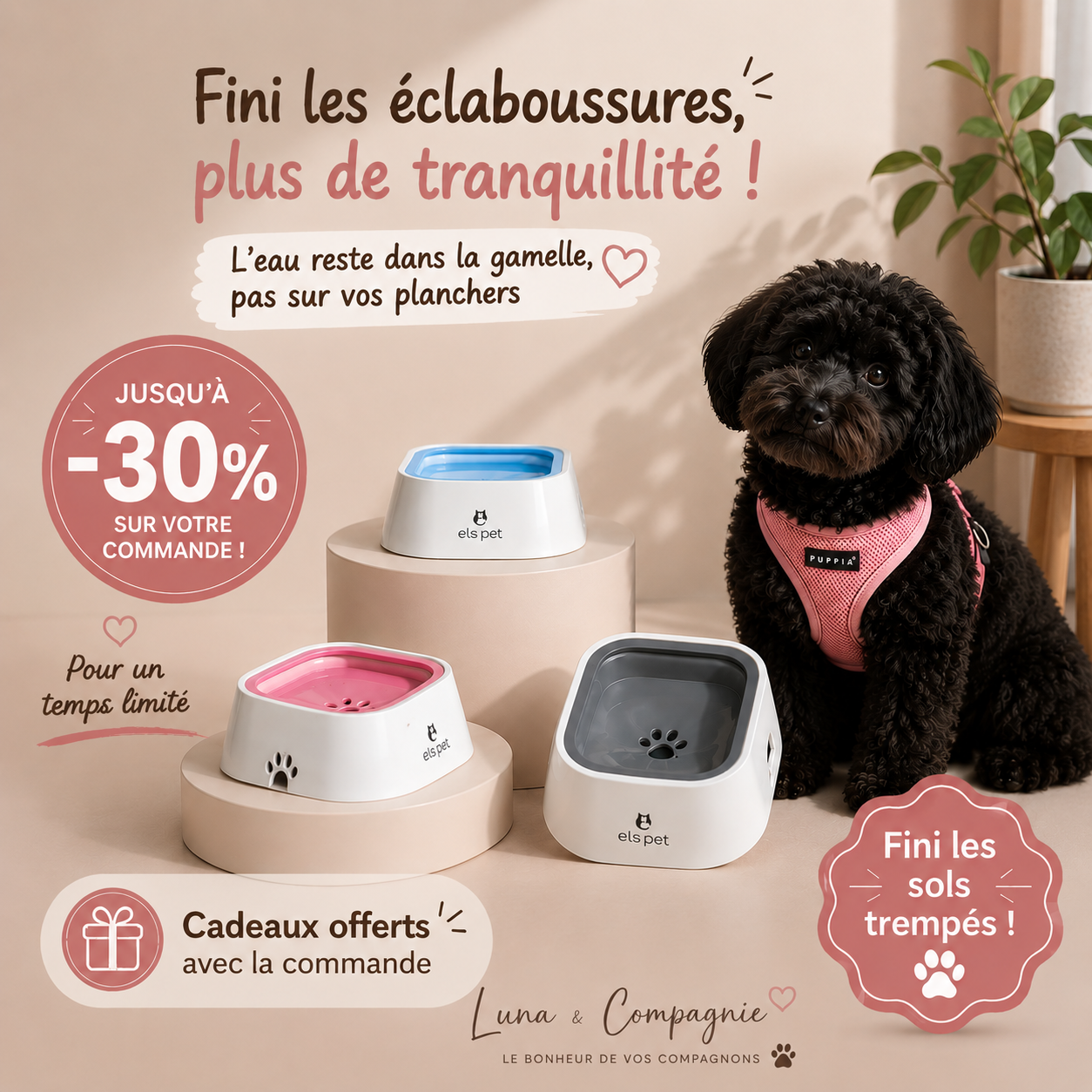 Gamelle Anti Éclaboussure