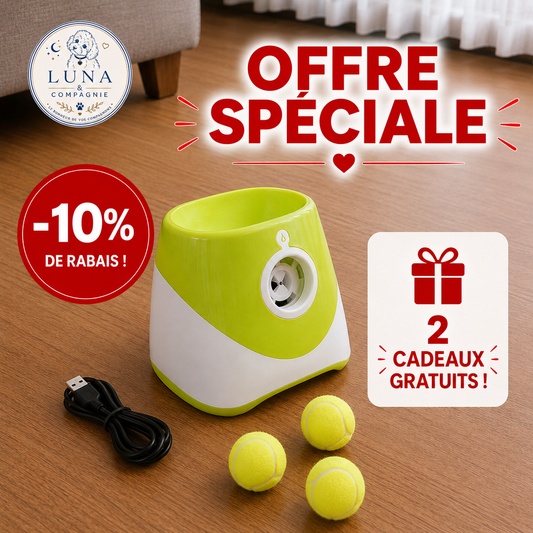 Lanceur de balle pour Chien | Portée 10m