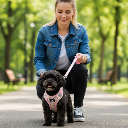 Harnais pour petit chien | Confort Sécurisé