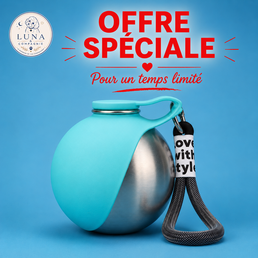 Gourde pour Chien | Pratique et Étanche