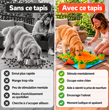 Tapis de fouille Chien | Ralentisseur Alimentaire