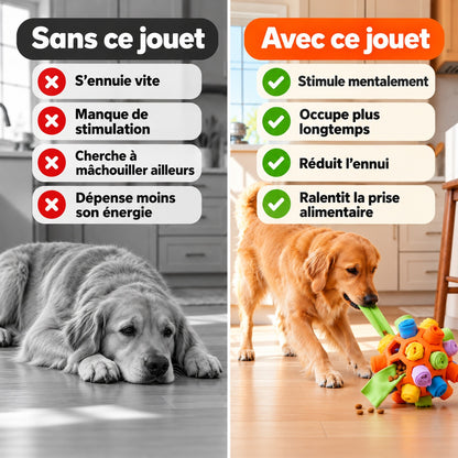 Balle de fouille interactive pour chien