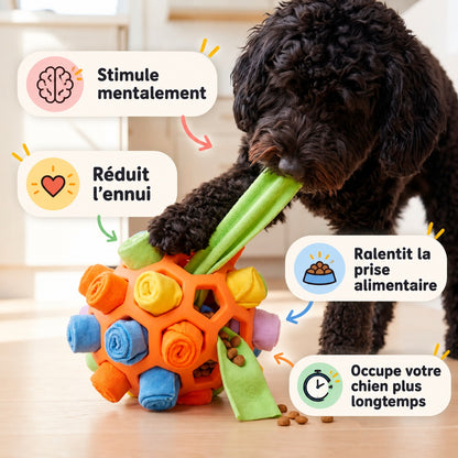 Balle de fouille interactive pour chien