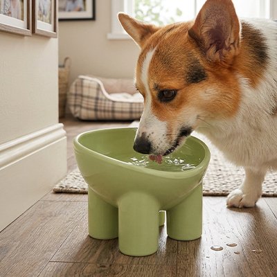 Gamelle Chien