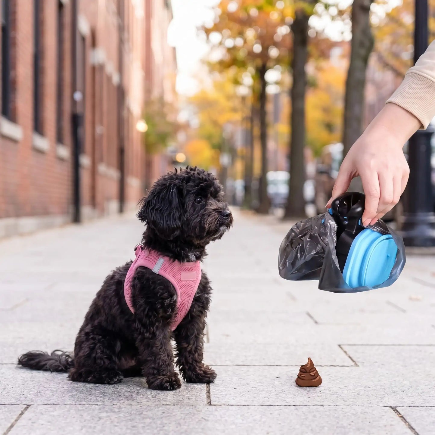 ramasse crottes pour chien | Hygiénique