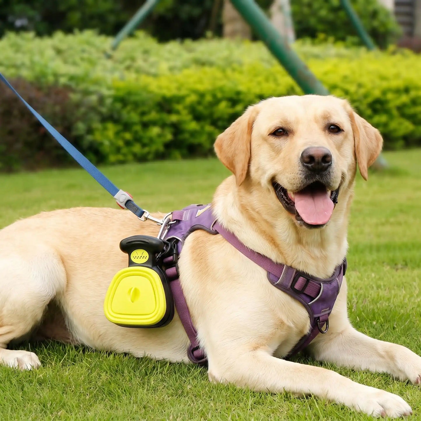 ramasse crottes pour chien | Hygiénique