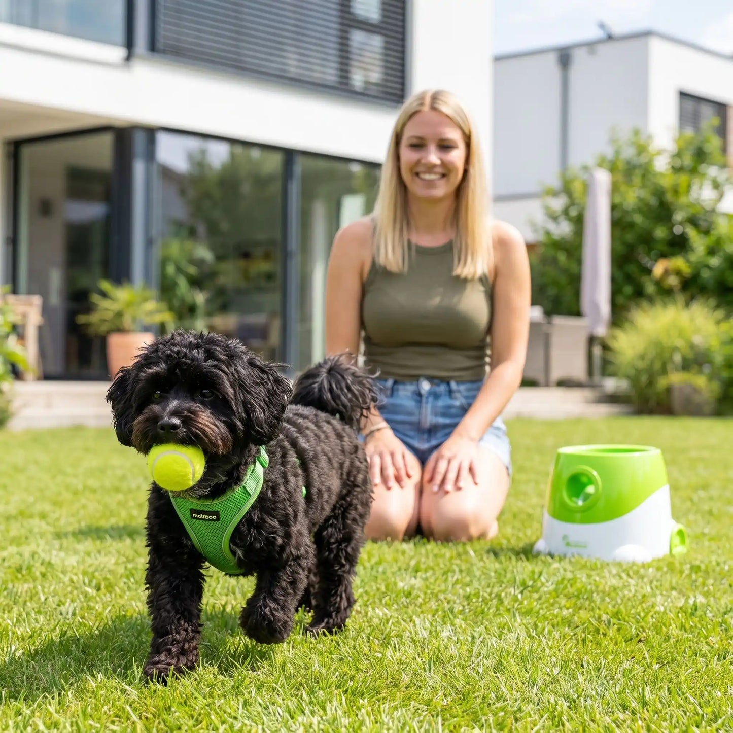 Lanceur de balle pour Chien | Portée 10m