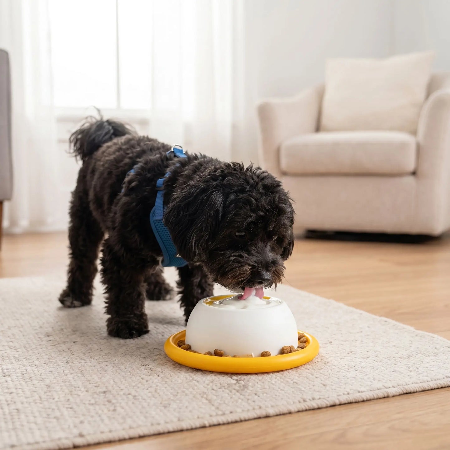 Gamelle anti glouton Chien | Digestion optimale