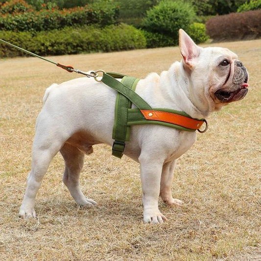 Harnais Chien anti traction