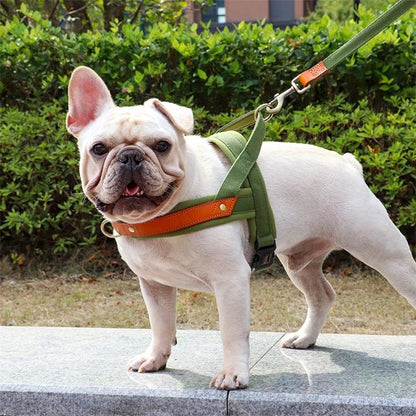 Harnais Chien anti traction