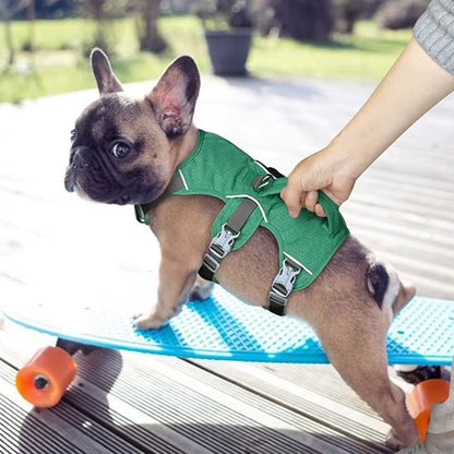 Harnais pour chien