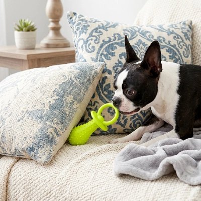 Jouet indestructible pour Chien