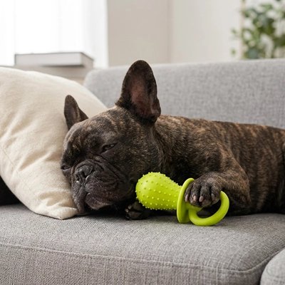 Jouet indestructible pour Chien