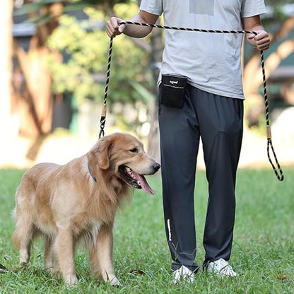 Laisse chien