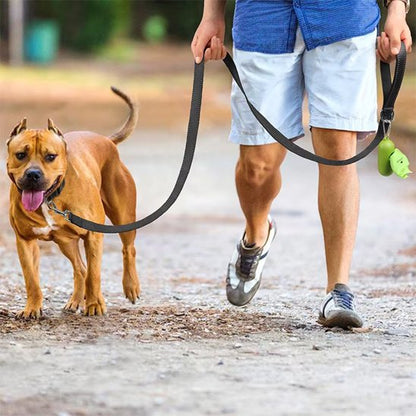 Laisse pour chien