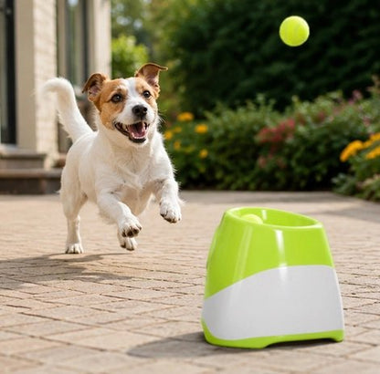 Lanceur de balle pour Chien