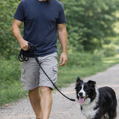Longe pour Chien 