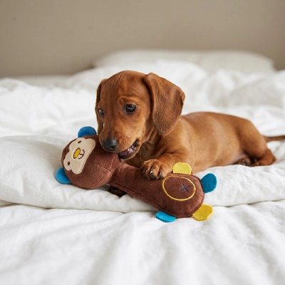Peluche pour chien