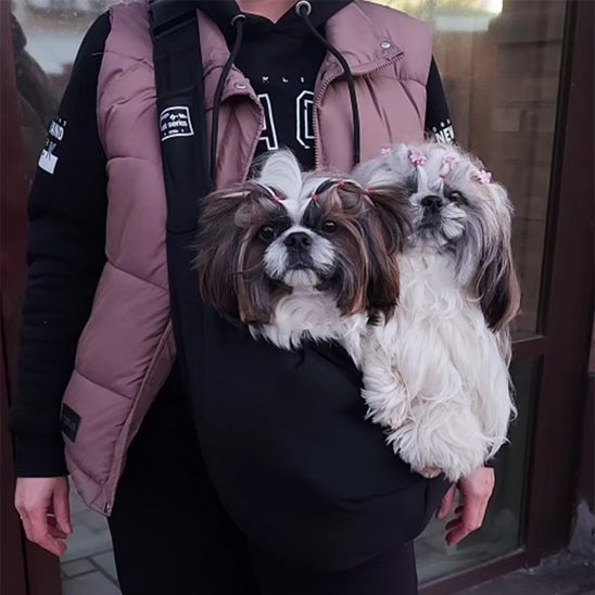 Sac de transport pour chien