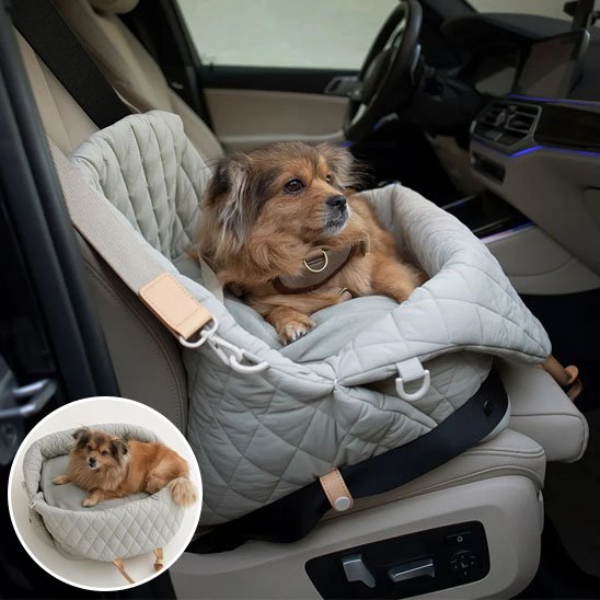 sac de transport pour chien 
