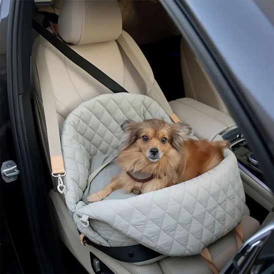 sac de transport pour chien 