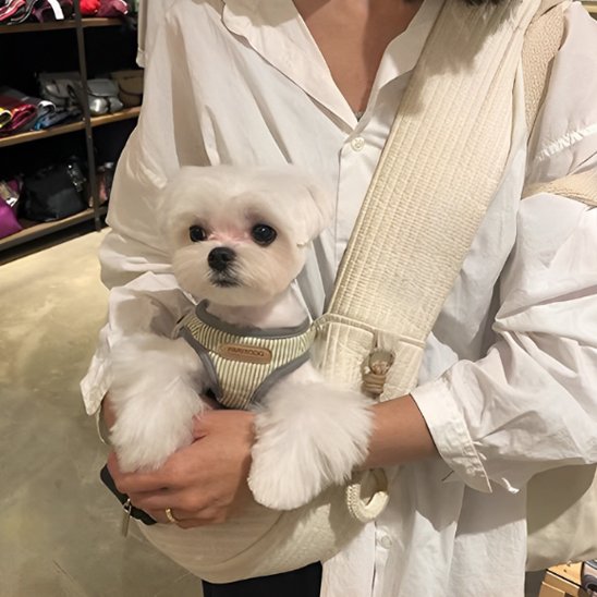 Sac de transport pour chien