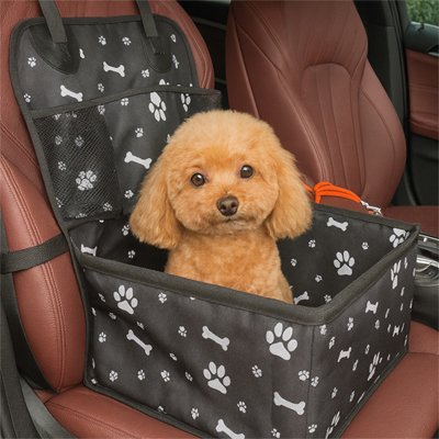 Siege auto chien