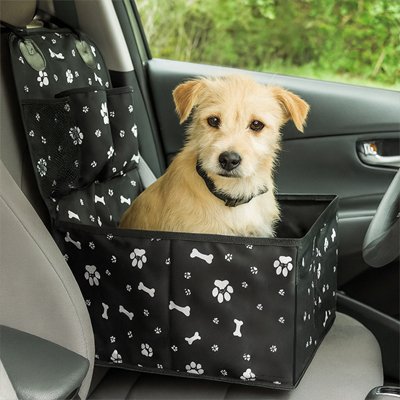 Siege auto chien