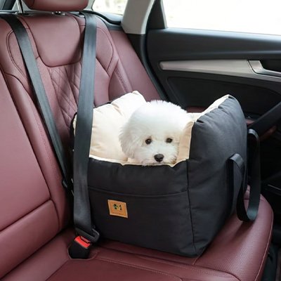 Siege auto pour chien 