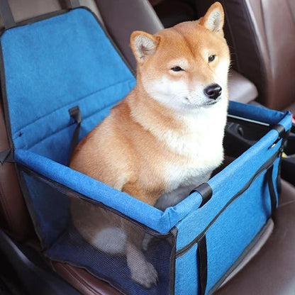 Siege auto pour chien