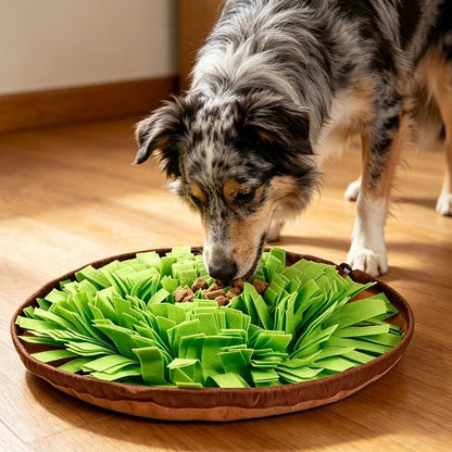 Tapis de fouille Chien