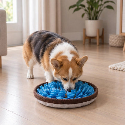 Tapis de fouille Chien